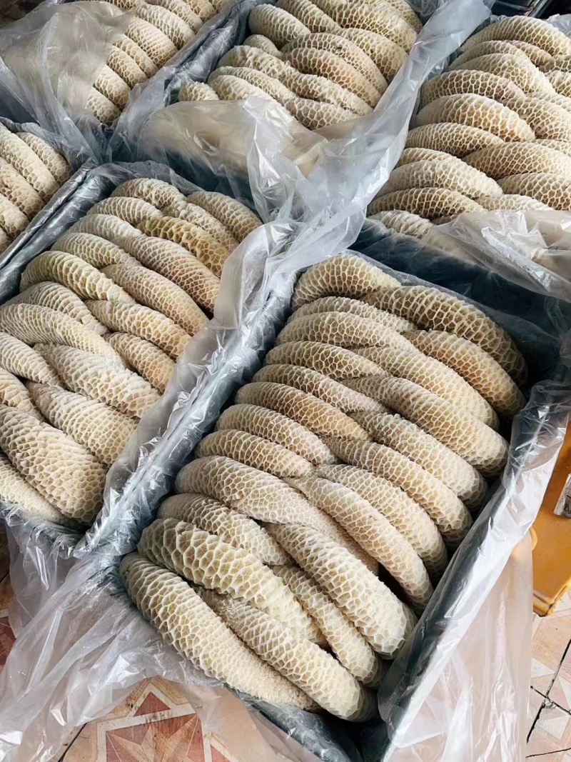 金钱肚新鲜冷冻商用半成品牛肚蜂窝肚火锅食材生鲜牛肚