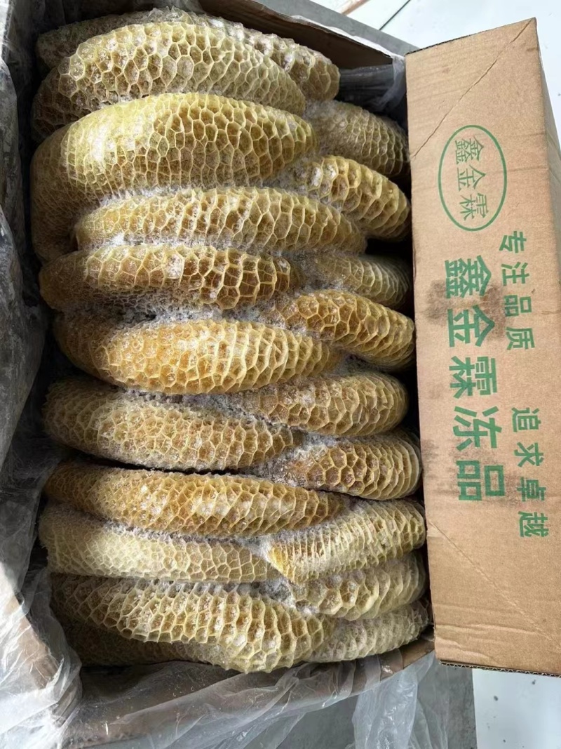 金钱肚新鲜冷冻商用半成品牛肚蜂窝肚火锅食材生鲜牛肚