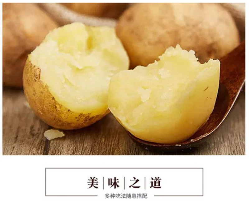 恩施小土豆马尔科