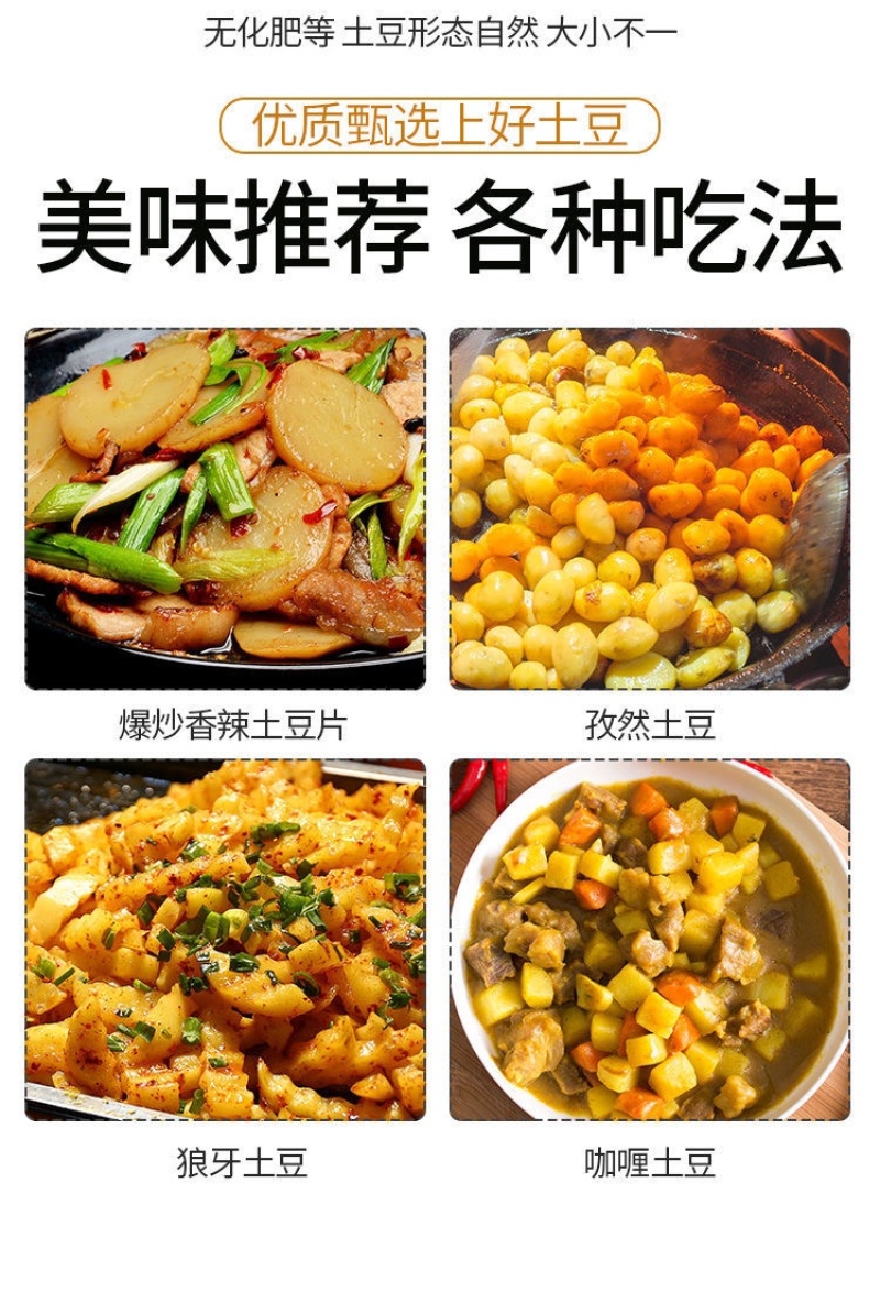 恩施小土豆马尔科