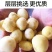 恩施小土豆马尔科