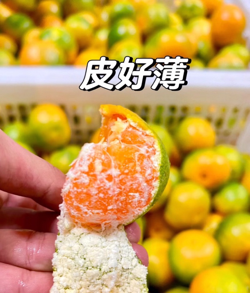 蜜橘湖北蜜橘大量供应皮薄多汁产地直发欢迎来电咨询