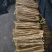铁棍山药品种齐全，全国发货，量大从优，对接各大电商市场