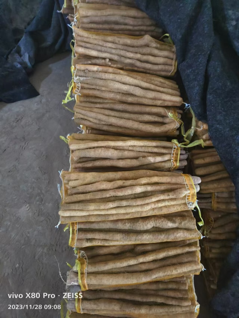 铁棍山药品种齐全，全国发货，量大从优，对接各大电商市场