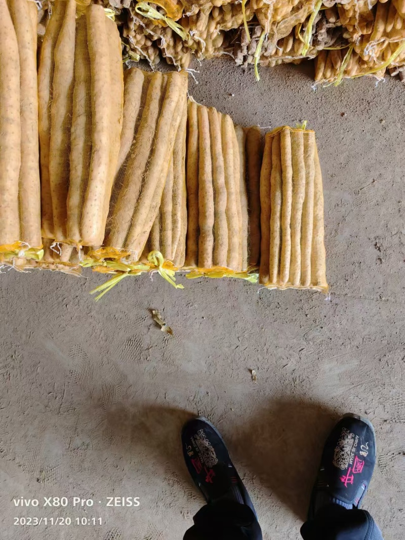 铁棍山药品种齐全，全国发货，量大从优，对接各大电商市场