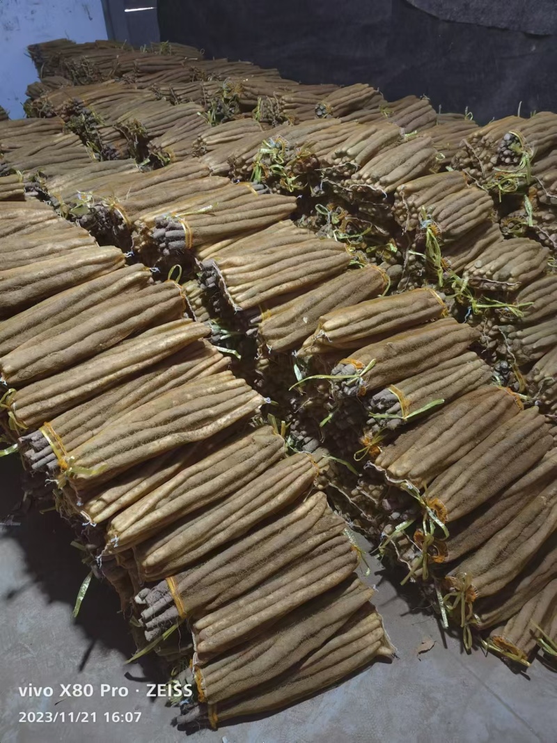 铁棍山药品种齐全，全国发货，量大从优，对接各大电商市场