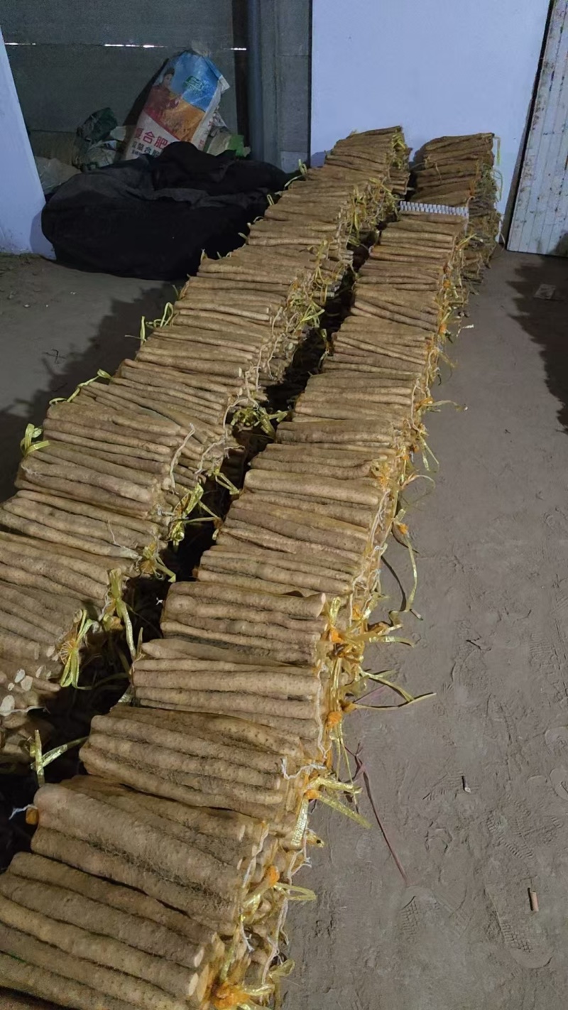 铁棍山药品种齐全，全国发货，量大从优，对接各大电商市场