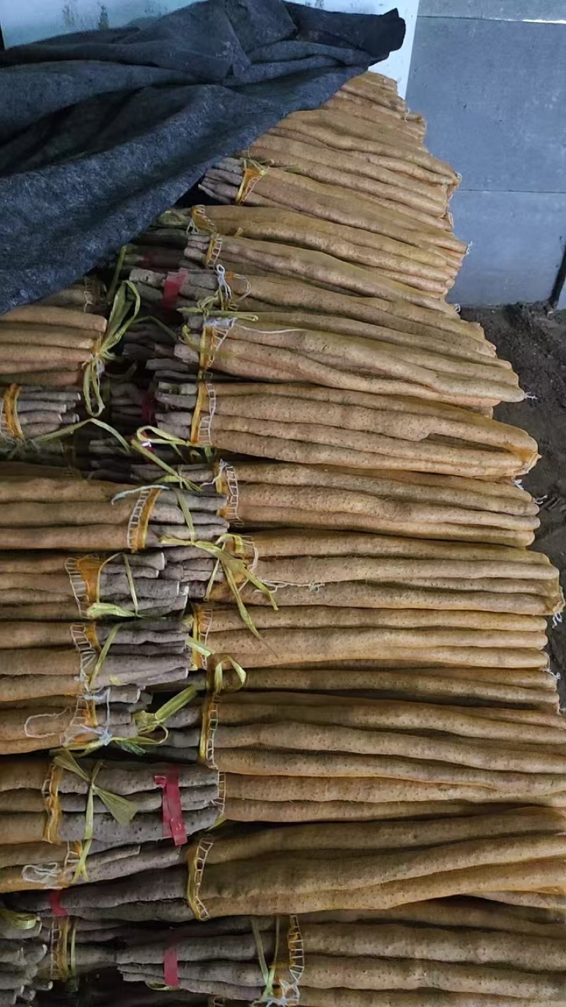 铁棍山药品种齐全，全国发货，量大从优，对接各大电商市场