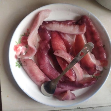 金海菇云南昆明海底菇台湾美食金霖金海菇金海