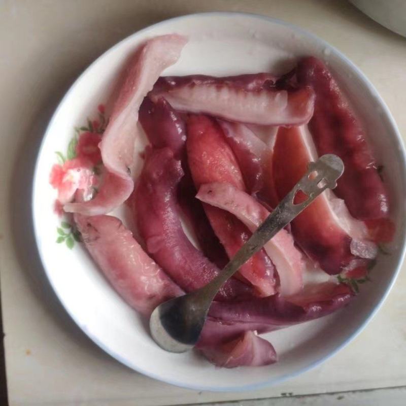 金海菇云南昆明海底菇台湾美食金霖金海菇金海