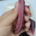 金海菇云南昆明海底菇台湾美食金霖金海菇金海