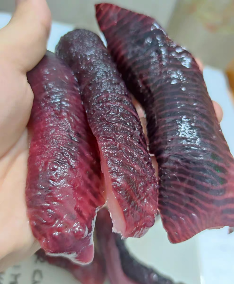 金海菇云南昆明海底菇台湾美食金霖金海菇金海