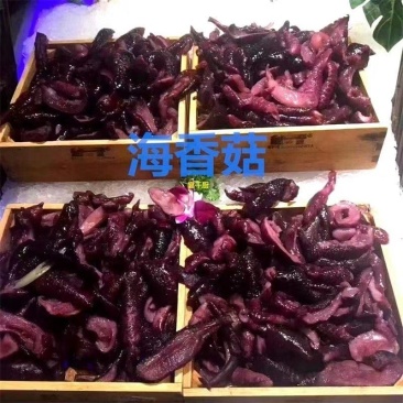 海香菇，香菇新鲜冷冻酒店饭店特色菜，欢迎致电