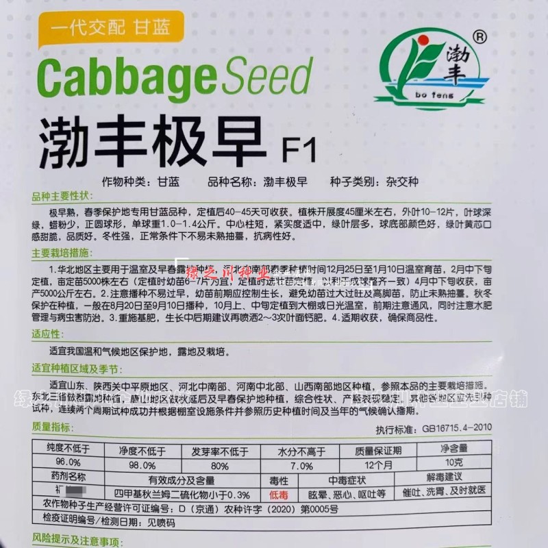 特早熟圆包菜种子渤丰极早绿叶甜脆黄心甘蓝种子圆球形甘兰菜