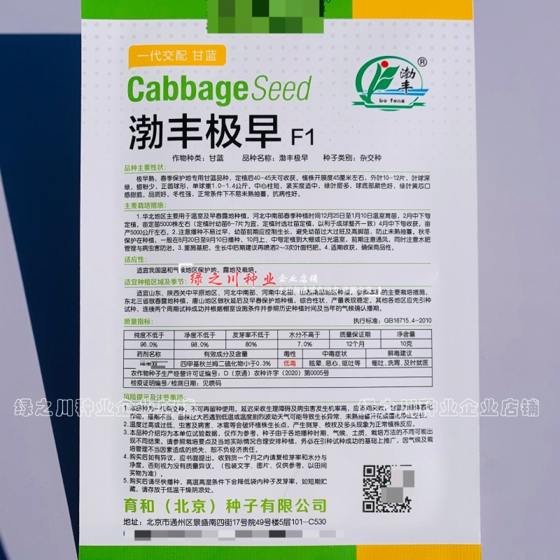 特早熟圆包菜种子渤丰极早绿叶甜脆黄心甘蓝种子圆球形甘兰菜