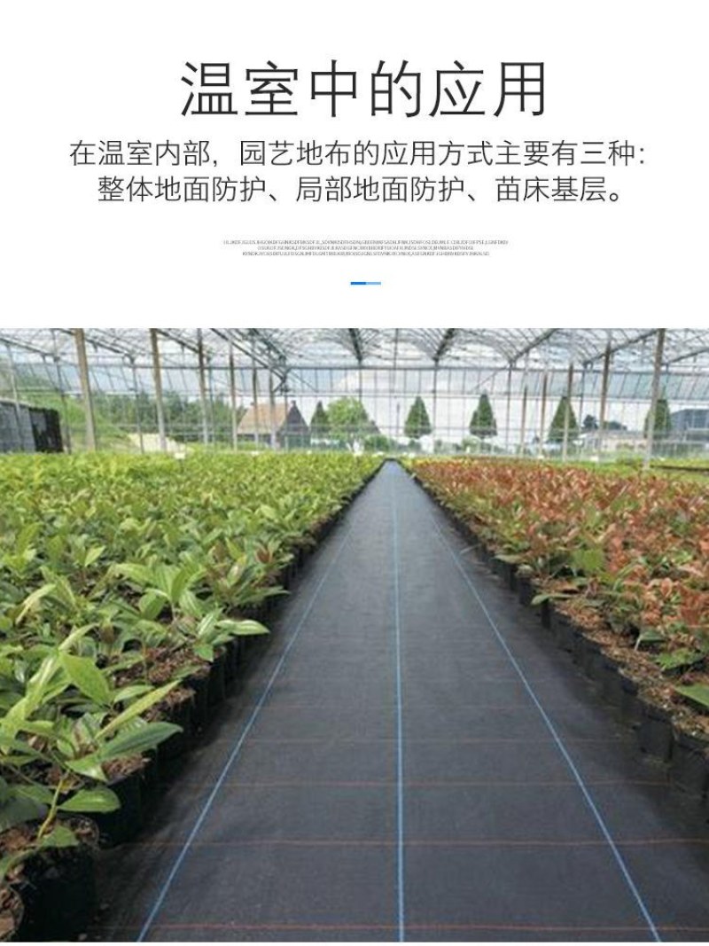 农用抗老化防草布除草布园艺地布盖草黑色果树果园大棚透气保