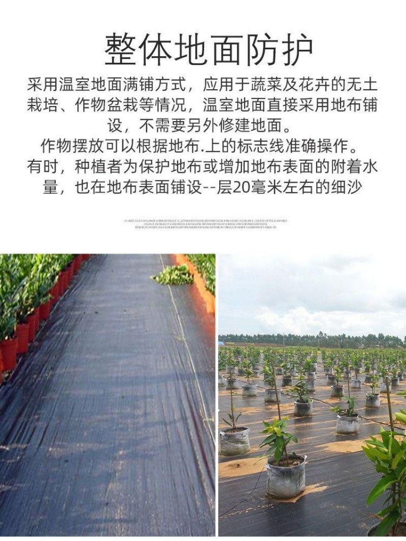 农用抗老化防草布除草布园艺地布盖草黑色果树果园大棚透气保