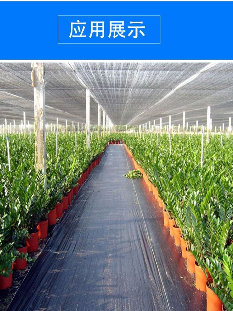 农用抗老化防草布除草布园艺地布盖草黑色果树果园大棚透气保