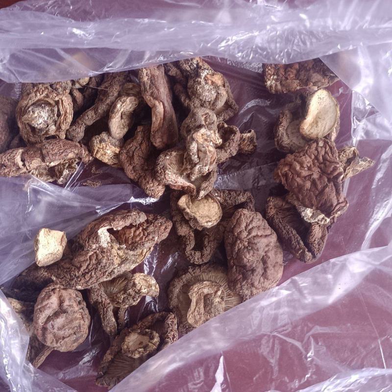 地扣，野生土豆蘑干货，各种规格都有，有需要的可以谈规格，