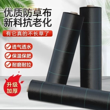农用加厚耐用抗老化防草布园艺地布遮盖草黑色膜果树园透气保