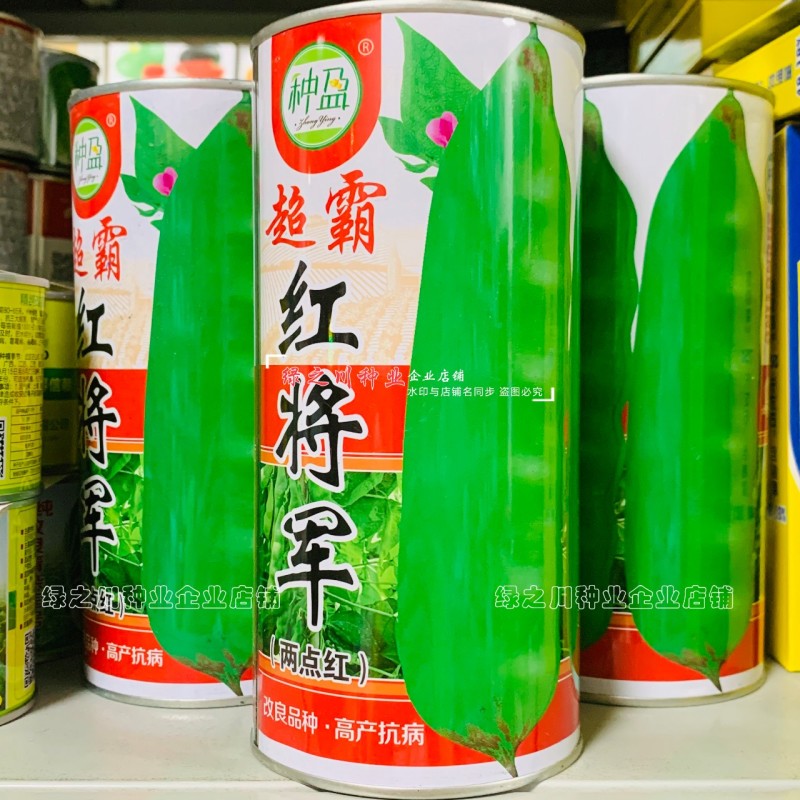 东北超霸红将军油豆种子四季架豆种籽大号高产北方一点红油豆