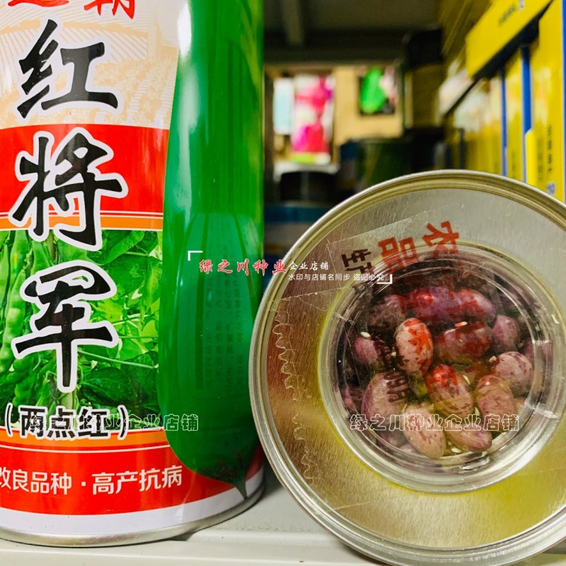 东北超霸红将军油豆种子四季架豆种籽大号高产北方一点红油豆