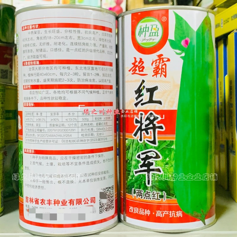 东北超霸红将军油豆种子四季架豆种籽大号高产北方一点红油豆