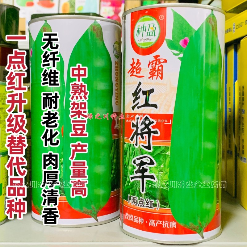 东北超霸红将军油豆种子四季架豆种籽大号高产北方一点红油豆