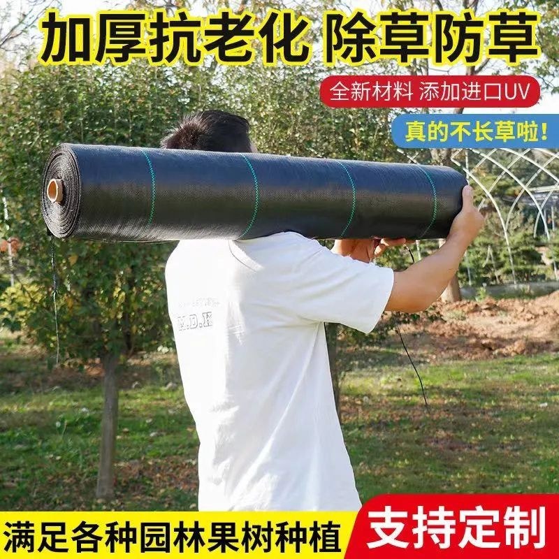 农用加厚耐用抗老化防草布园艺地布遮盖草黑色膜果树园透气保