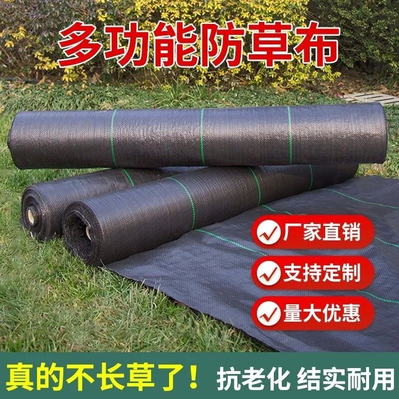 农用加厚耐用抗老化防草布园艺地布遮盖草黑色膜果树园透气保