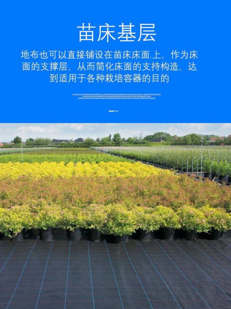 农用加厚耐用抗老化防草布园艺地布遮盖草黑色膜果树园透气保