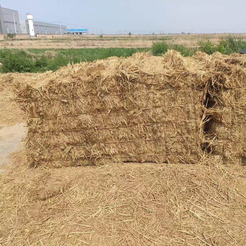 稻草基地直发品质保障对接全国量大优惠视频看货
