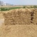 稻草基地直发品质保障对接全国量大优惠视频看货