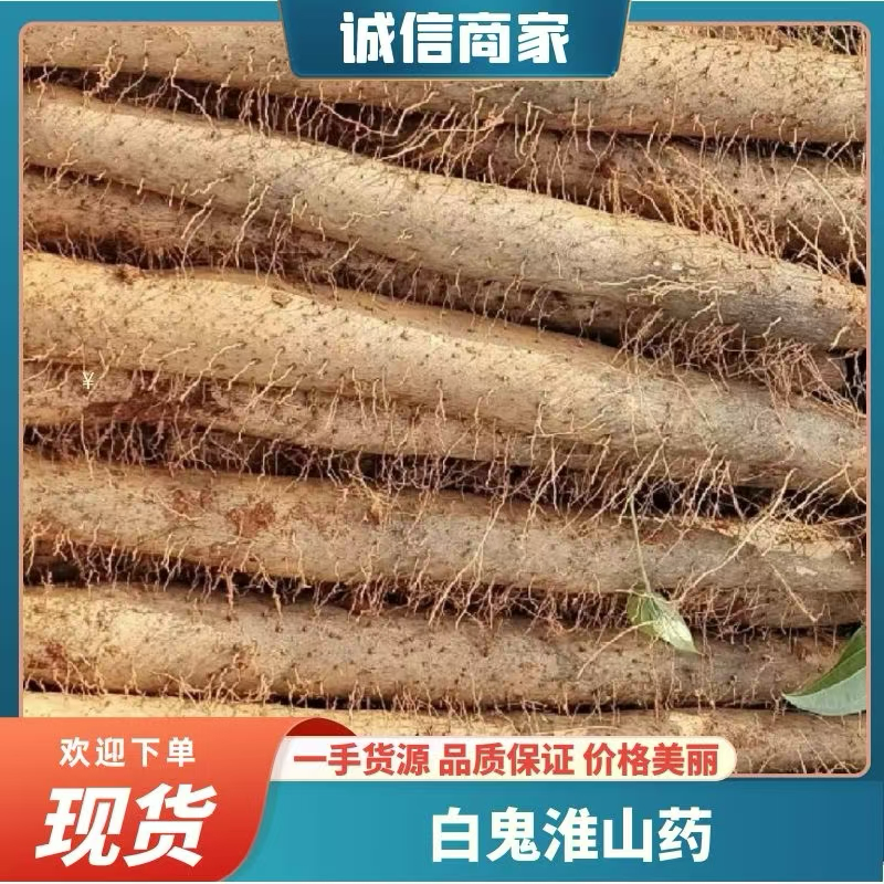 广西山药上市，大量开挖，粉糯香，条型好看，毛色也好看