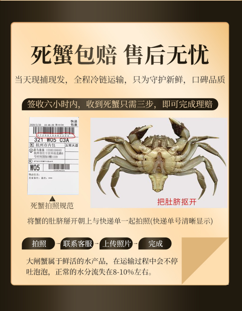 中秋福利热卖阳澄湖镇大闸蟹一手货源社群团购集采价优礼盒装