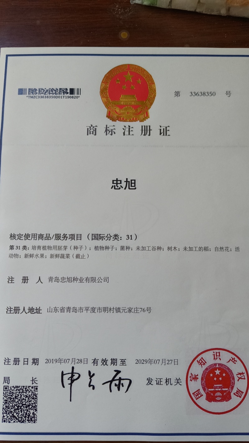 野生西瓜籽嫁接西瓜专用砧木种子一市斤三千六百粒抗病西瓜甜