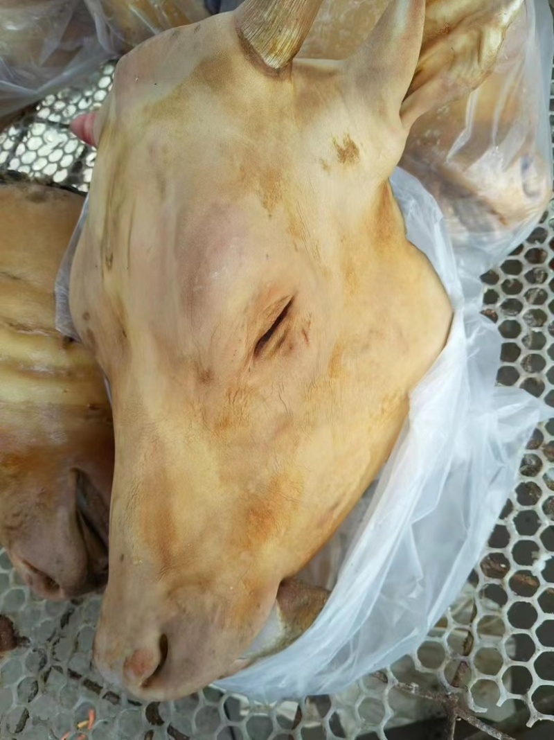 火燎带口条牛头
