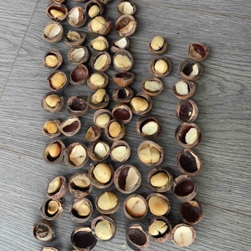 夏威夷果奶油味