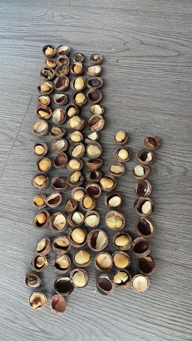 夏威夷果奶油味