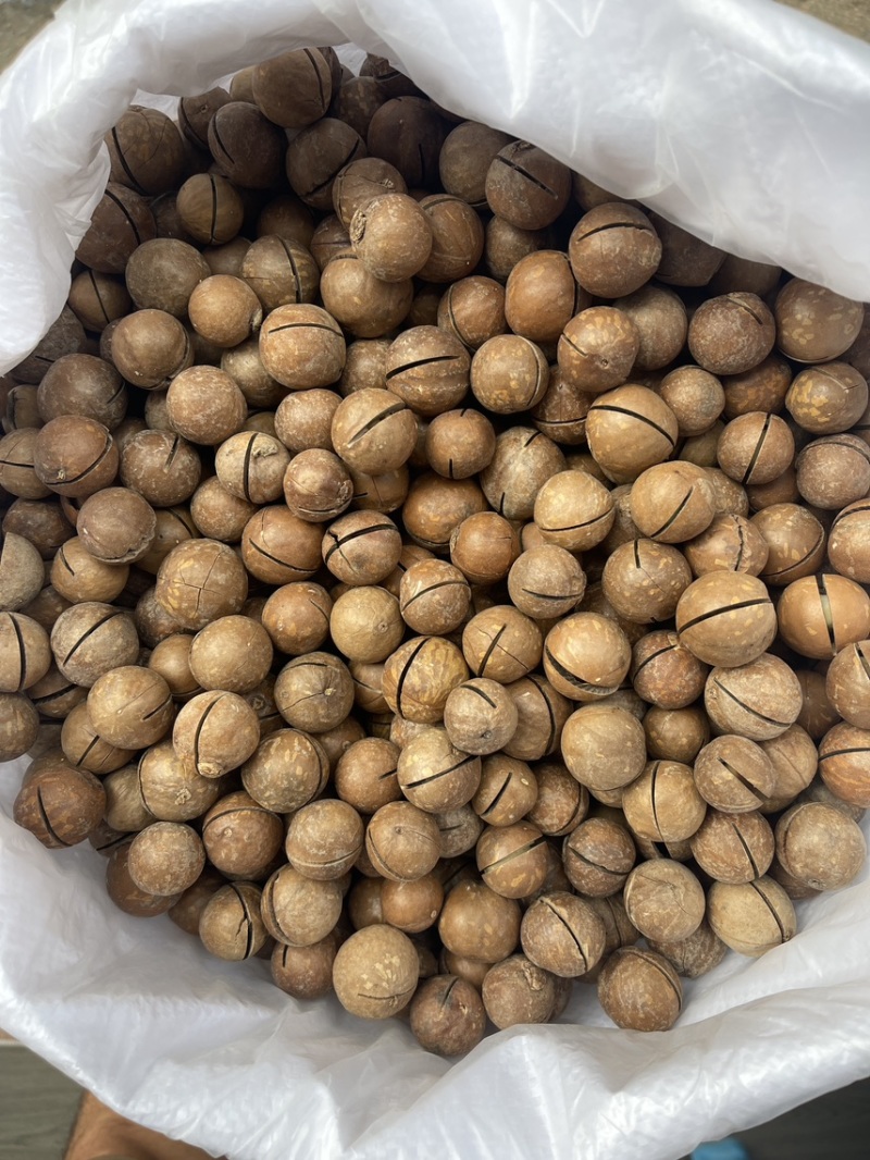 夏威夷果奶油味