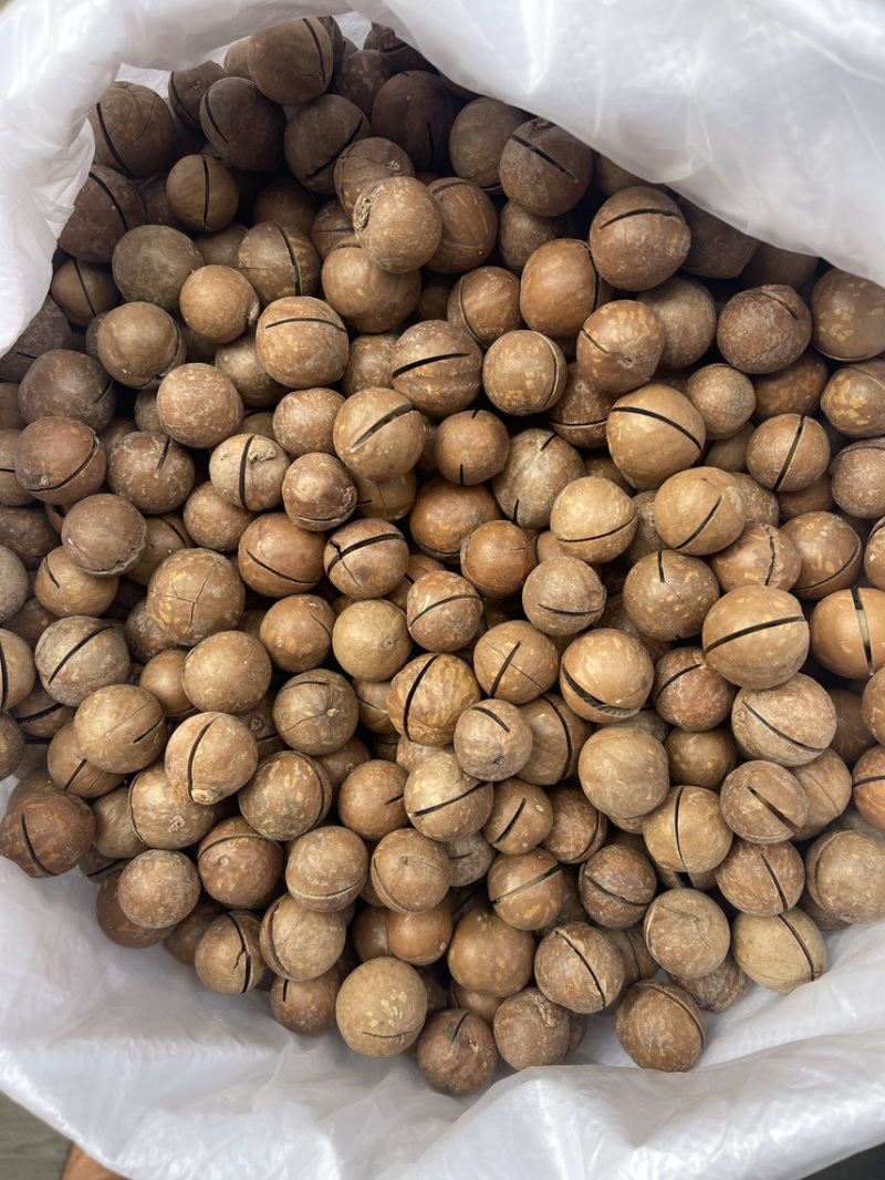 夏威夷果奶油味