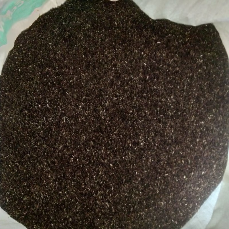 新疆中药材种子百花菜子色选大货包邮面谈