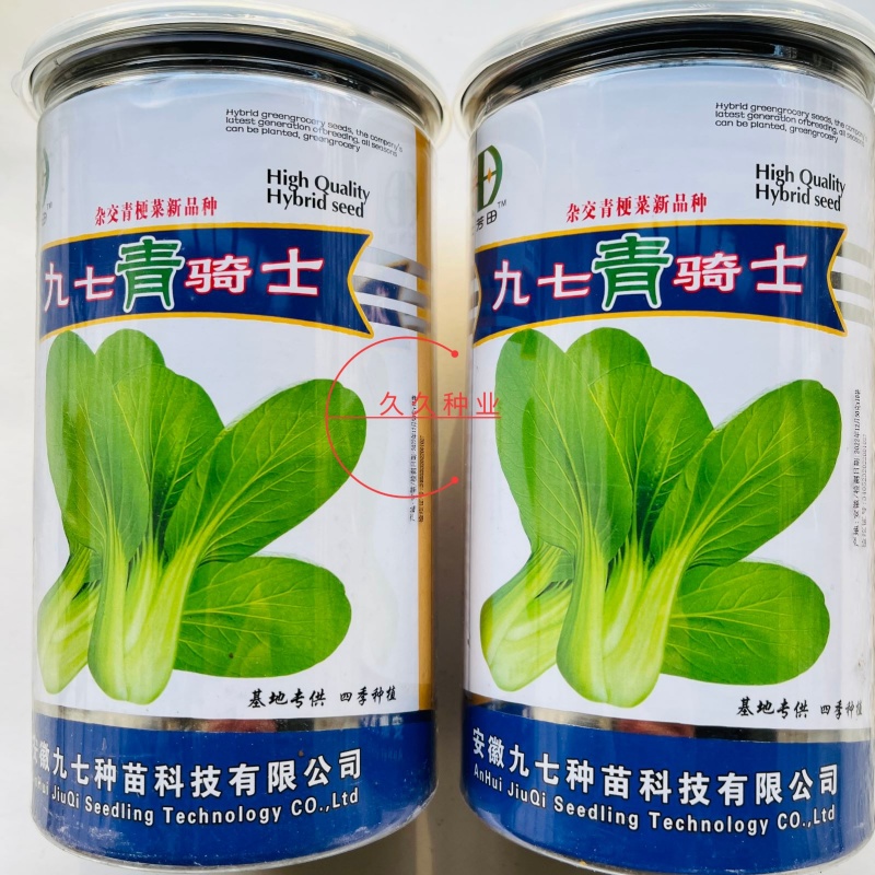 九七青骑士青梗菜种子种籽四季小白菜青菜油菜上海青蔬菜种孑