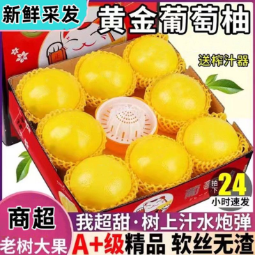 福建葡萄柚