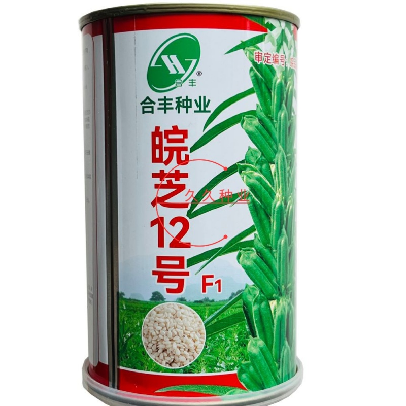 皖芝12号白芝麻种子三系杂交抗旱抗倒抗病高产农家大田