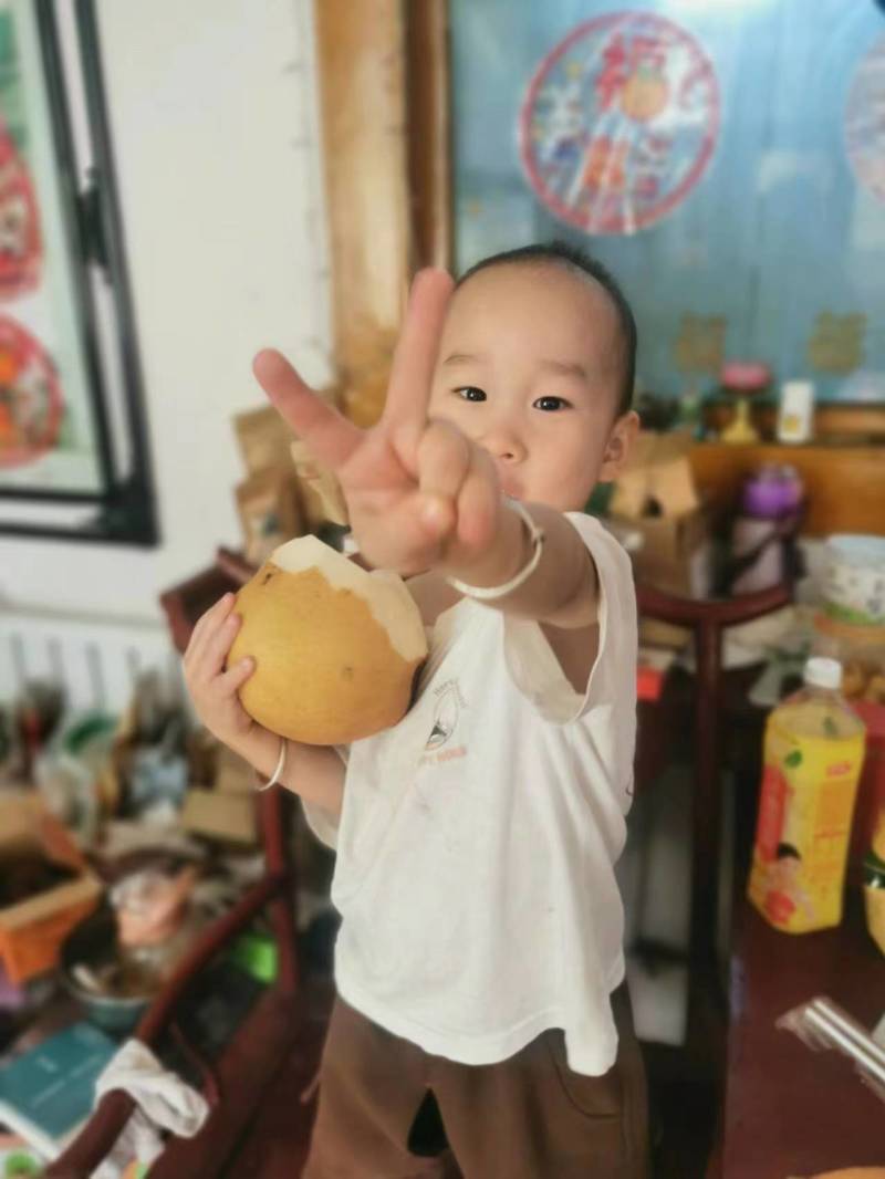 晚秋黄梨5两起步果汁罐头果。恒温库储存，常年有货！