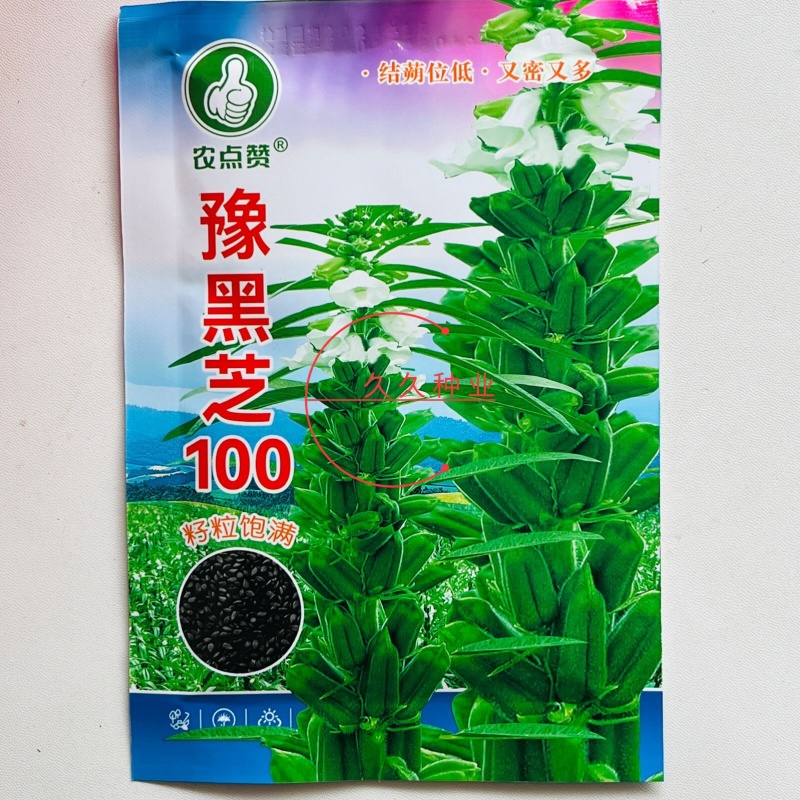 豫黑芝100黑芝麻种子耐重茬抗倒耐旱高品质高产高