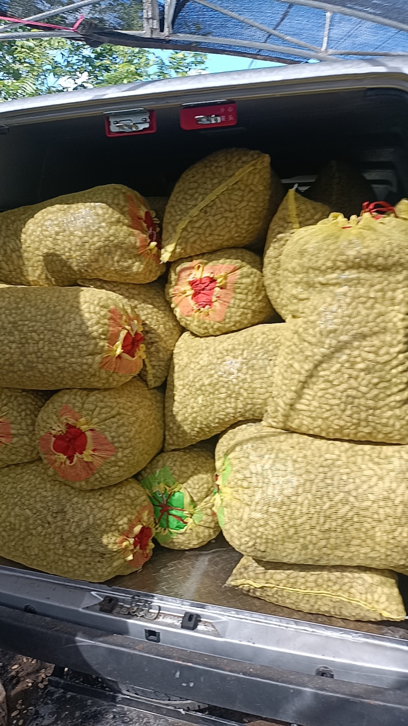 鲜花生24年现挖红皮白皮脆嫩好吃