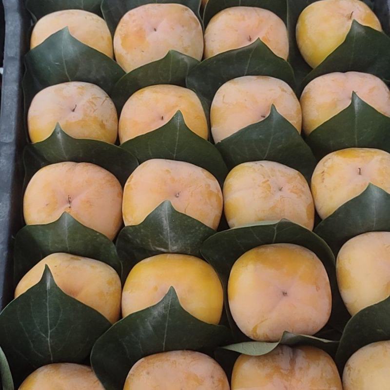 脆柿子