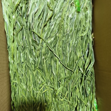 云南大理贡菜干苔干产地直发一手货源品质保证可按要求定制